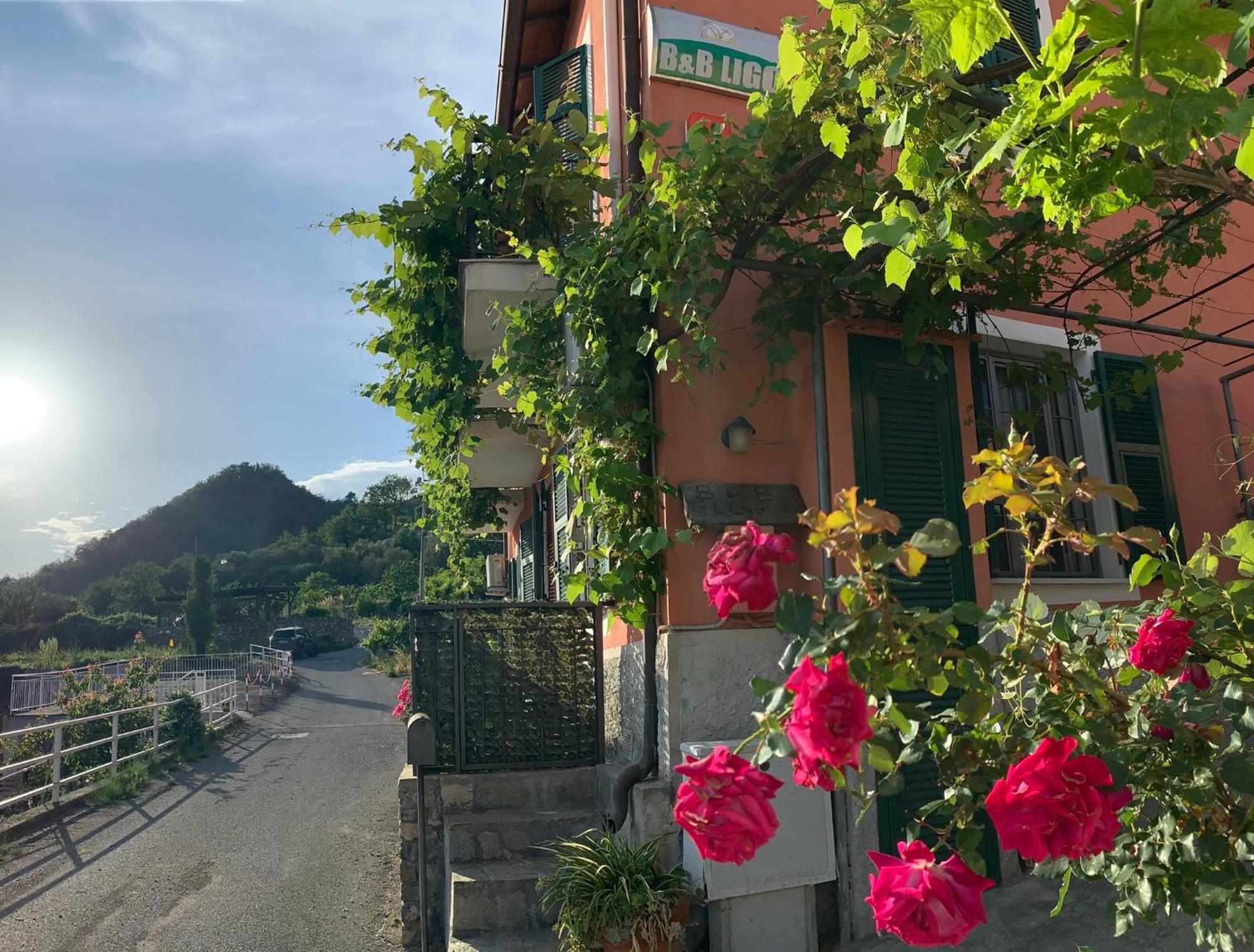 Ligo Bed and Breakfast Villanova d'Albenga Eksteriør billede