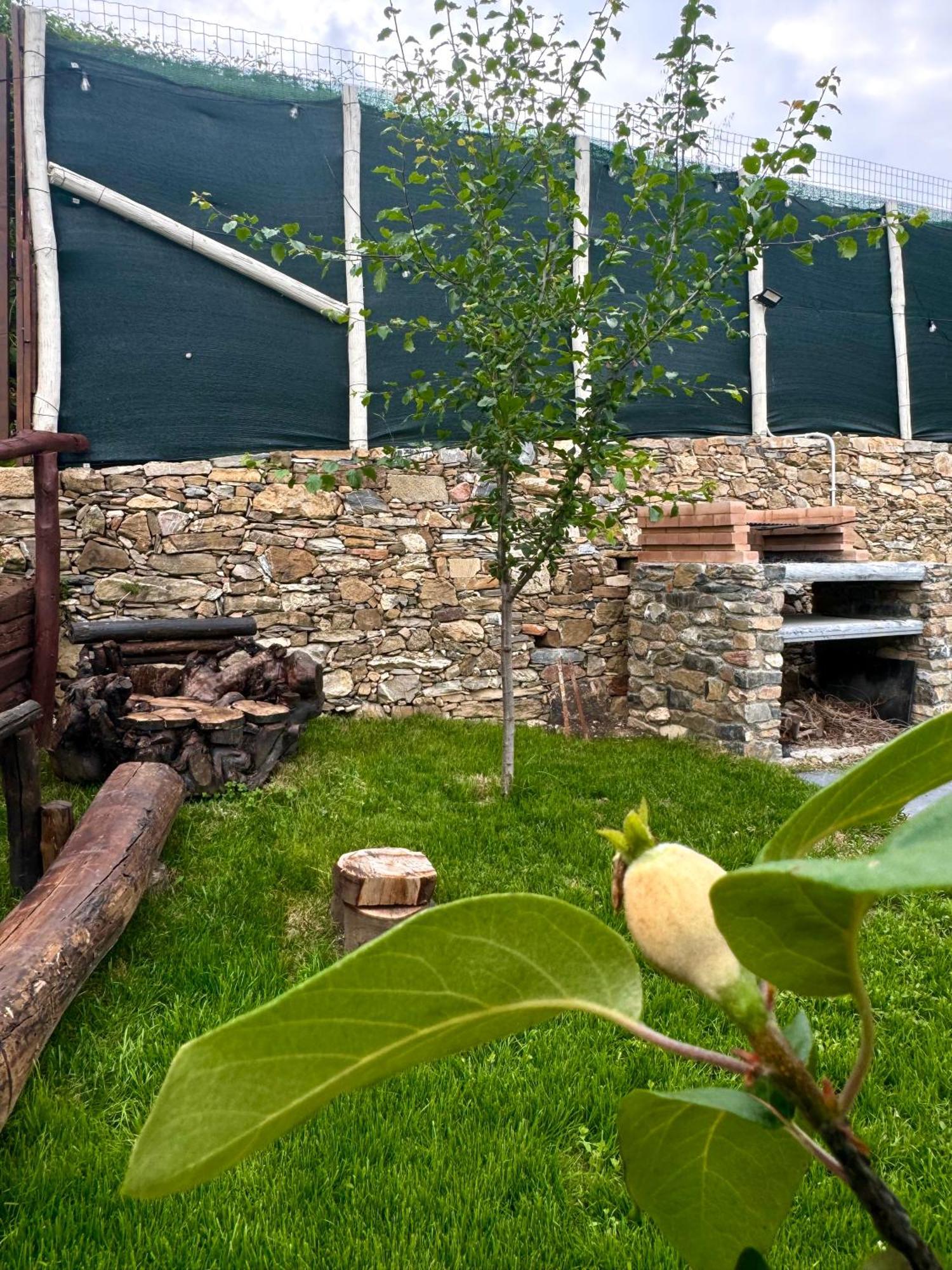 Ligo Bed and Breakfast Villanova d'Albenga Eksteriør billede